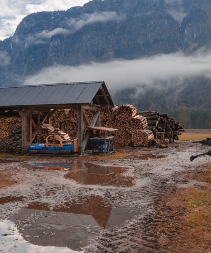 Jakie są etapy obróbki drewna tartacznego? - Mydło i Powidło obrobka drewna tartacznego